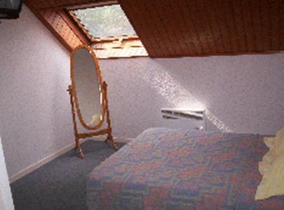 Auberge De Mandrin Dullin 部屋 写真