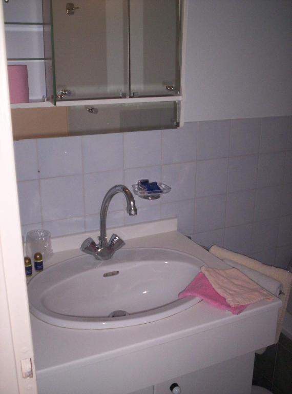 Auberge De Mandrin Dullin 部屋 写真
