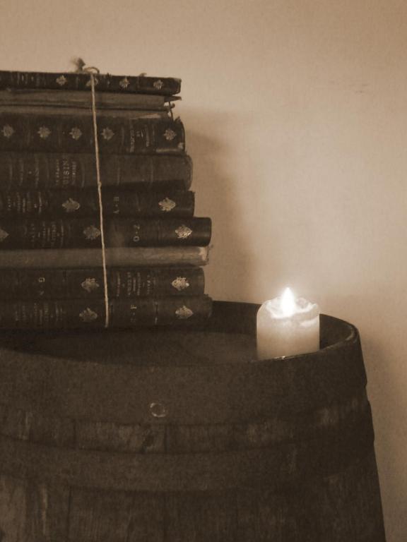 Auberge De Mandrin Dullin エクステリア 写真